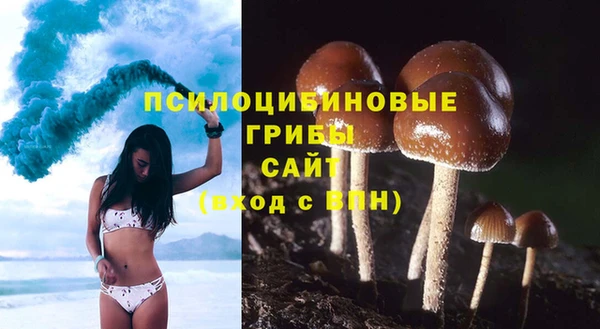 мдма Козельск