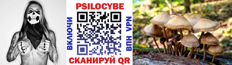 Купить  Оренбург  Галлюциногенные грибы MAGIC MUSHROOMS 